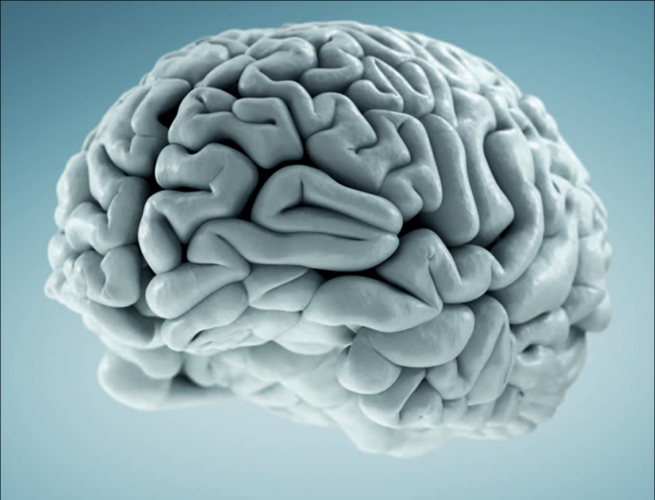 Les dégâts causés au cerveau par un effet de souffle