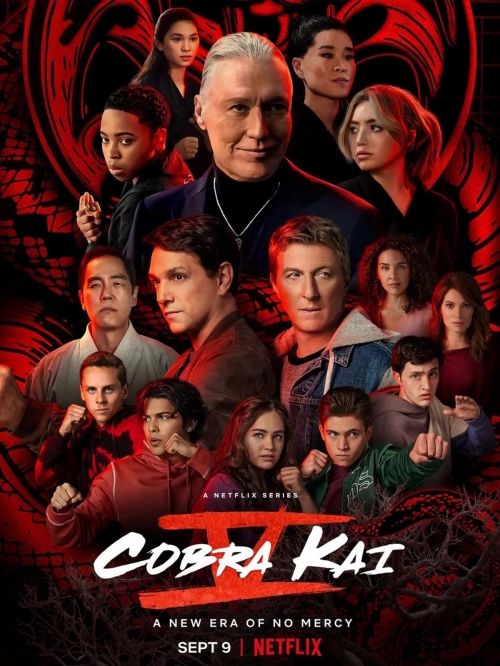 Cobra Kaï - Saison 5