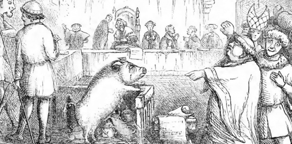 L'étrange histoire des procès d'animaux au Moyen Âge