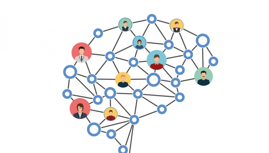 Le réseau social dans notre cerveau