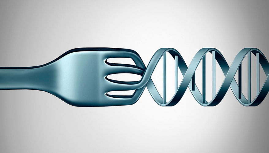 Nos goûts alimentaires sont-ils dans nos gènes ?