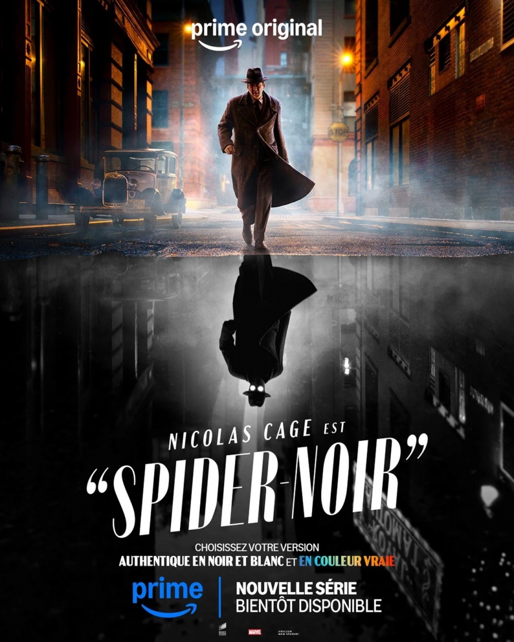 Spider Noir