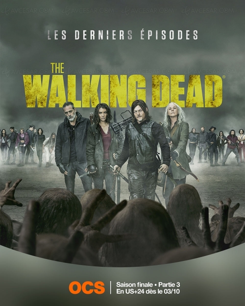 The Walking Dead - Saison 11 (c)